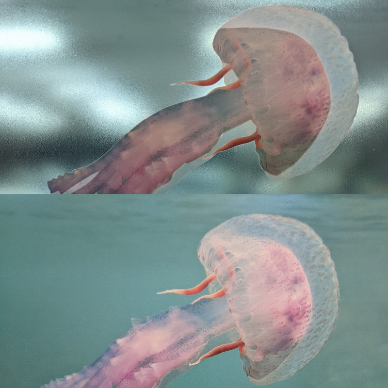 Yupo Jelly & Octopus synthetic papers